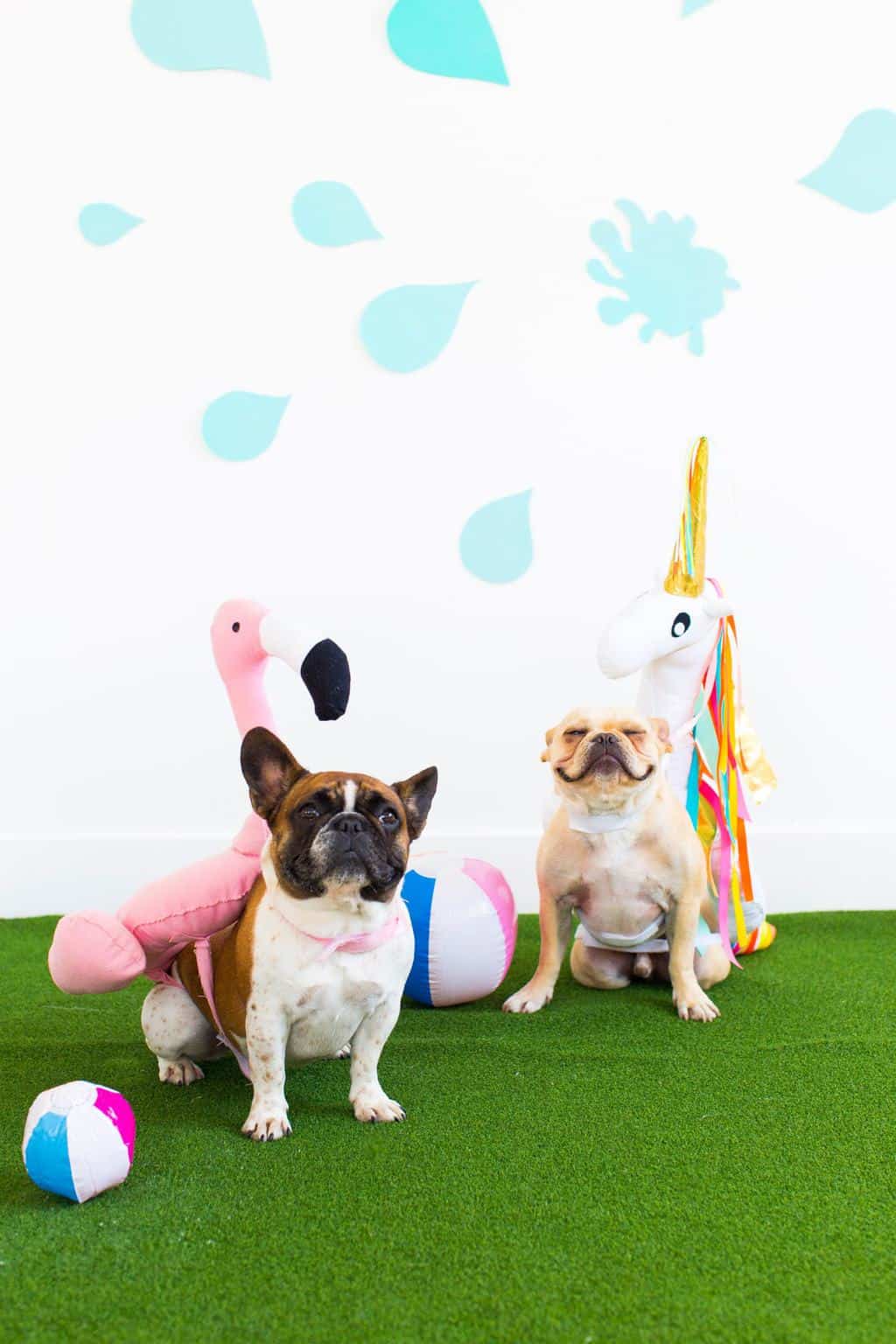 DIY Pool Float Costume For The Pups Sugar & Cloth