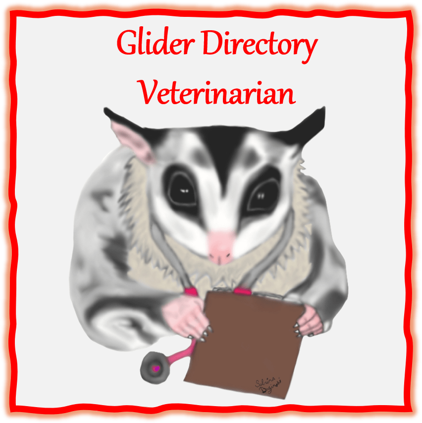 Saltillo Small Animal Hospital Sugar Glider Directory