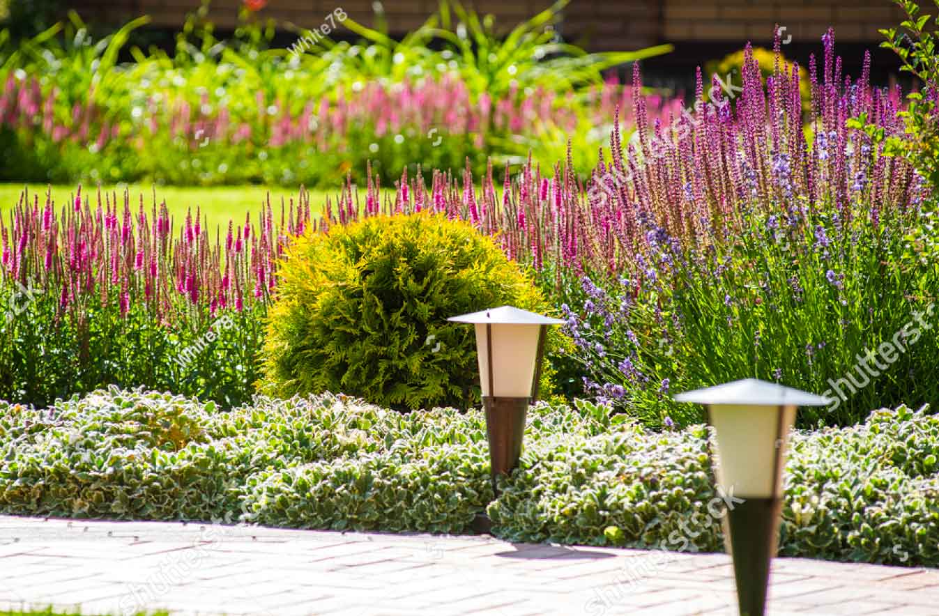 Engine Repair Sugar Hollow Farms