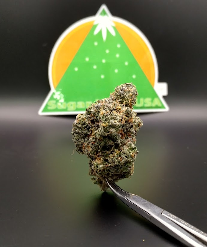 Jet Fuel Sugar Kush USA