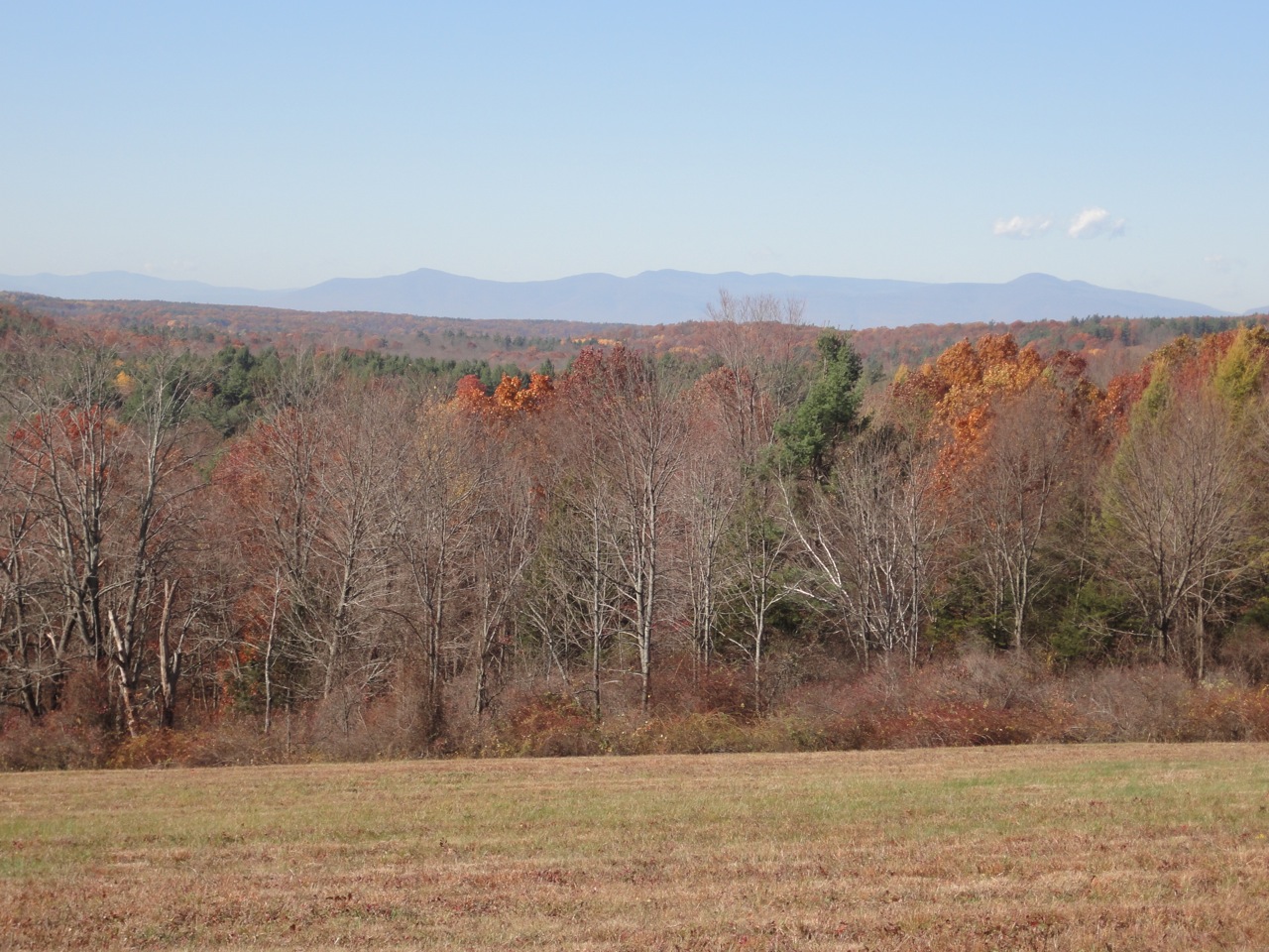 Sugar Shack FarmSugar Shack Farm Just another WordPress site