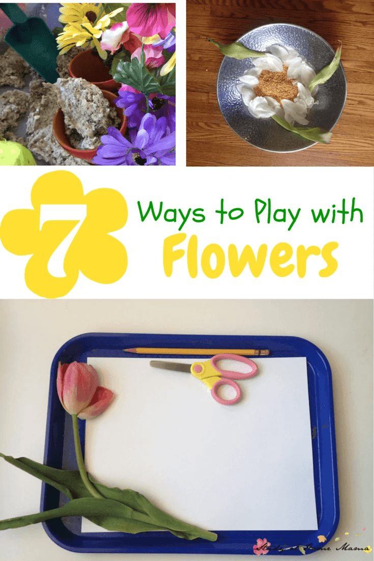 7 Ideas for Playing with Flowers ⋆ Sugar, Spice and Glitter