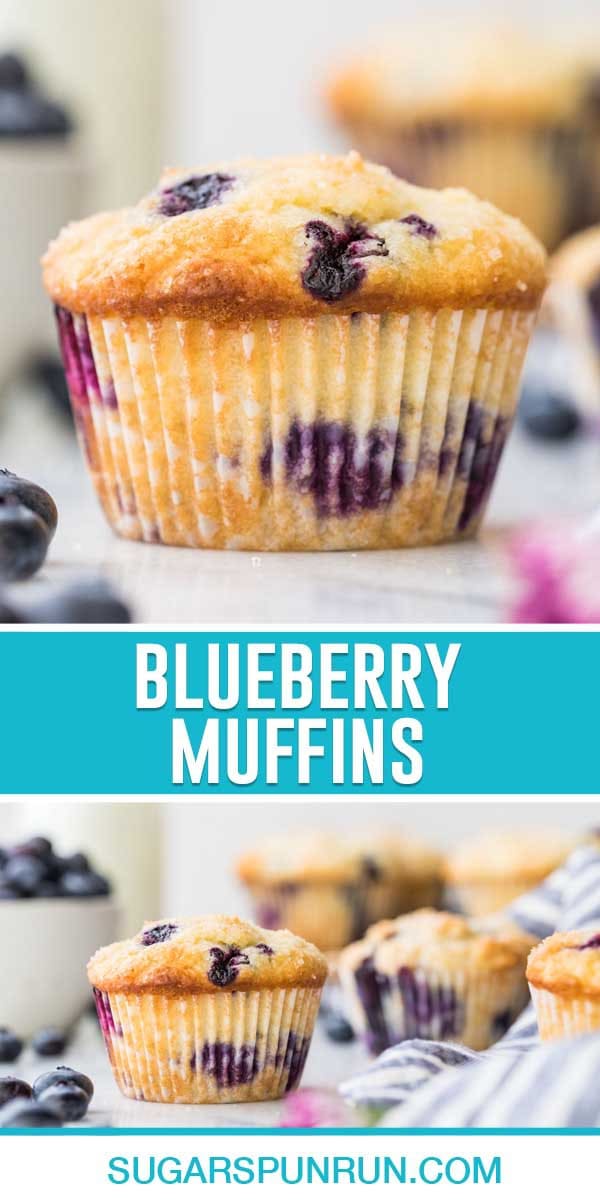 The Best Blueberry Muffins Sugar Spun Run