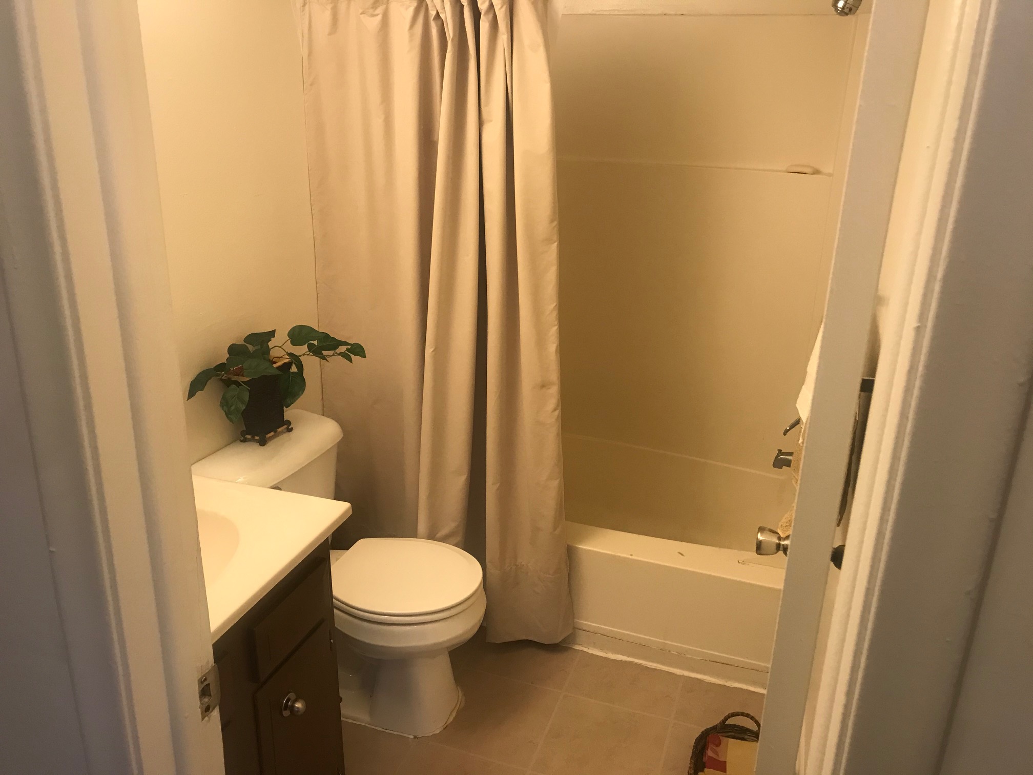 Sugartree Apartments Gallery