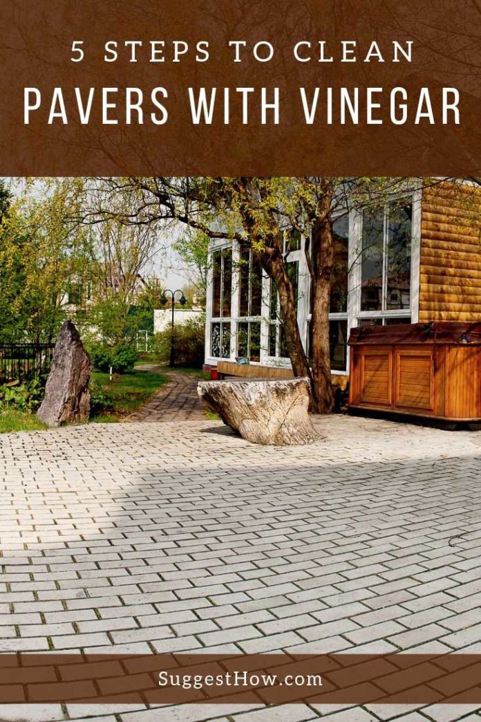 How to Clean Pavers with Vinegar Follow 5 Easy Steps