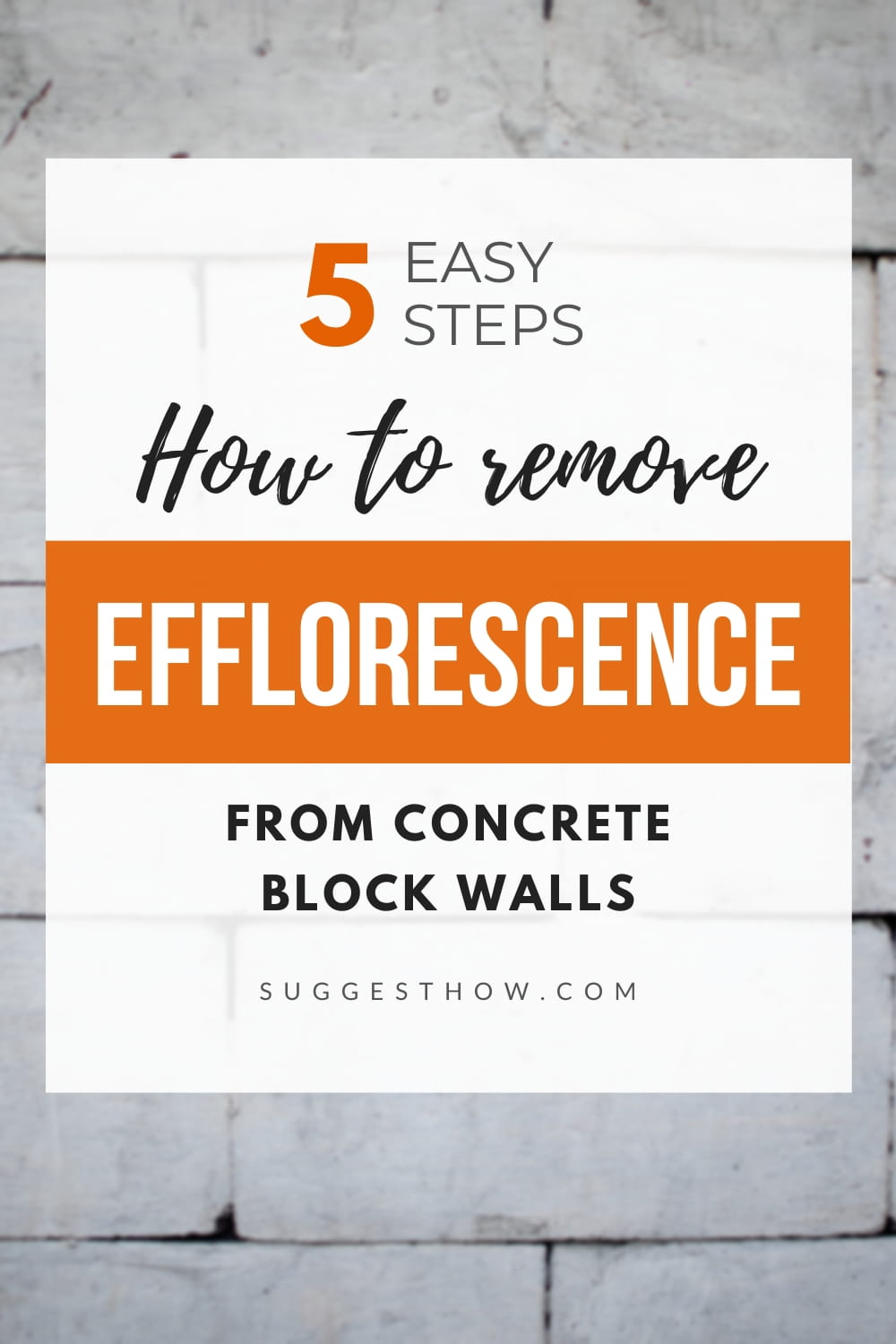 CONTROL AND REMOVAL OF EFFLORESCENCE NCMA