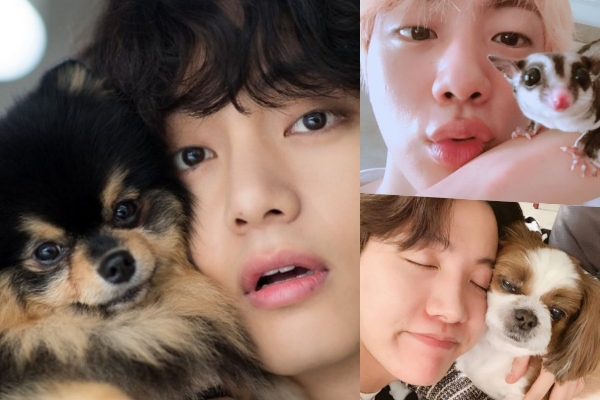 BTSのペットが可愛すぎる♡愛犬の名前や溺愛エピソードも紹介【画像】｜SUGOMEDIA