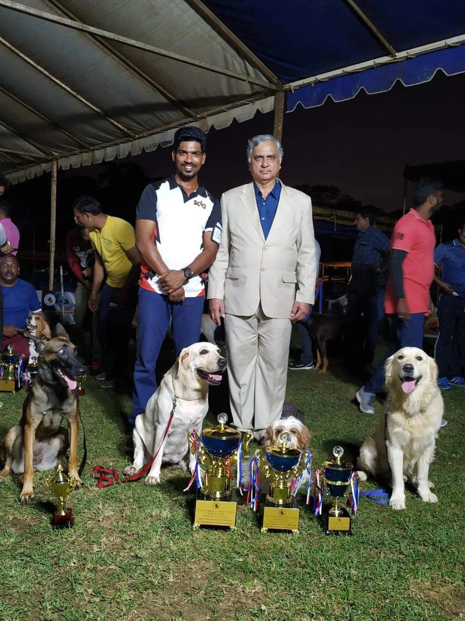 Dog Trainers in Chennai, Dog Training and Boarding in Chennai
