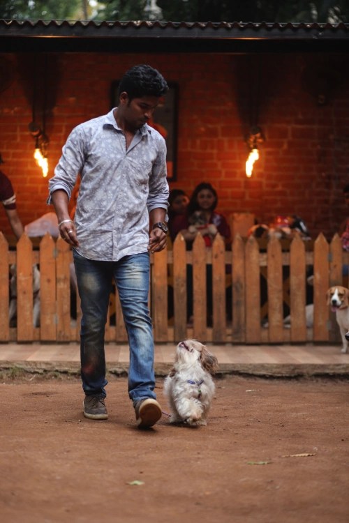 Sugu's Dog Artistry Certified Dog trainers in chennai