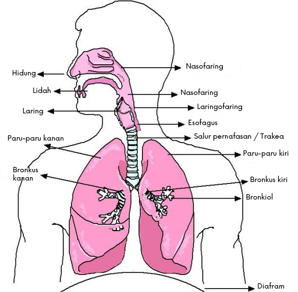 Perbincangan berkaitan penggunaan Inhaler dan Nebulizer semasa Ibadah