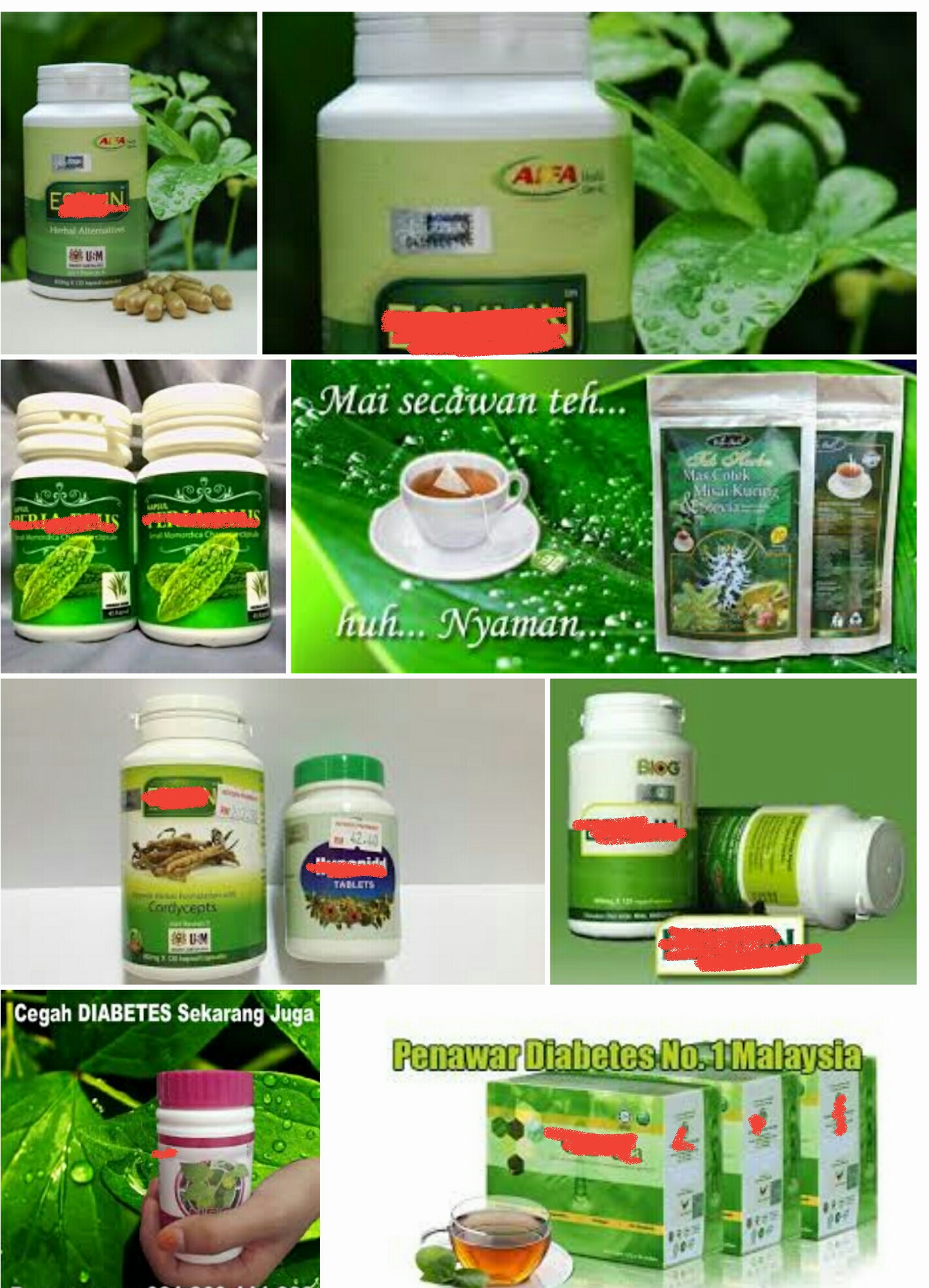 Herba Untuk Kencing Manis Ubat Kencing Manis PERIA TUNJUK LANGIT