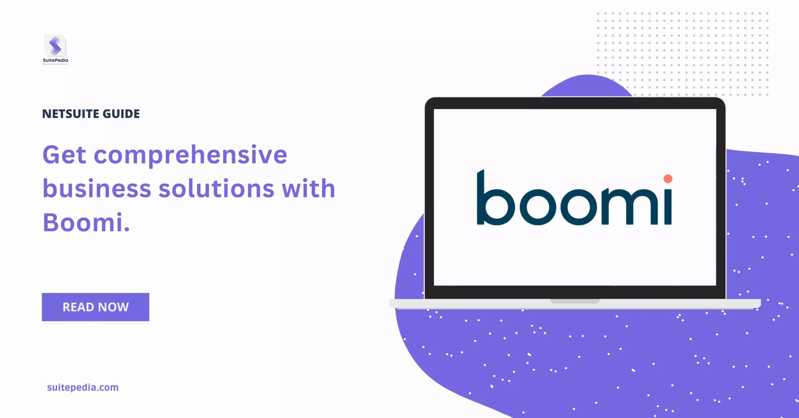 Boomi Comprehensive business solution provider 2024