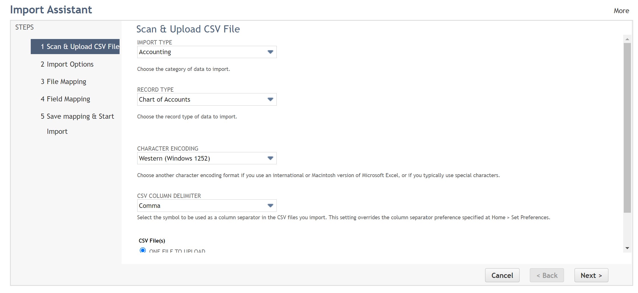 The NetSuite Chart of Accounts SuiteRep