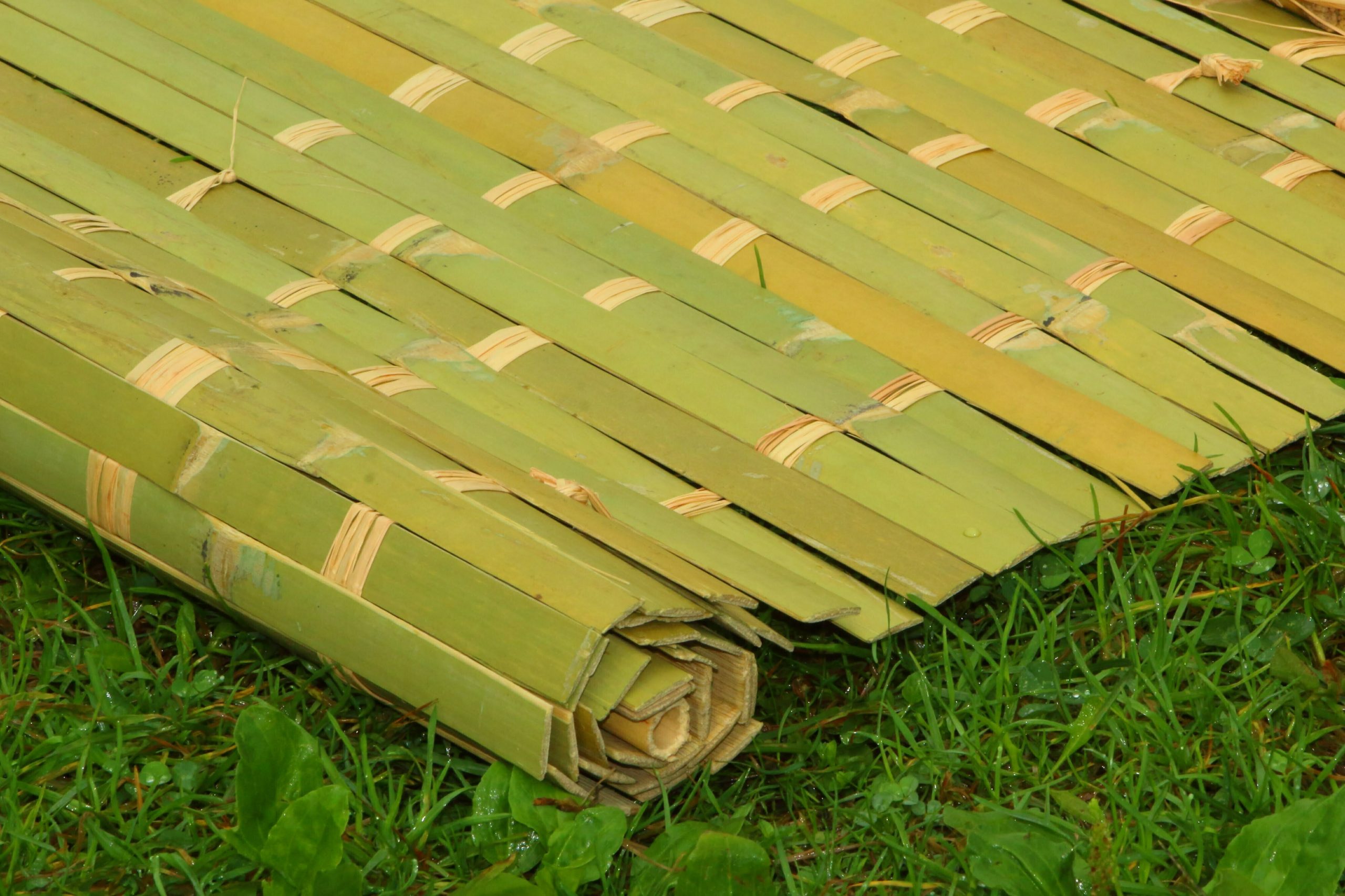 Bamboo Schach Mat The Sukkah Boys