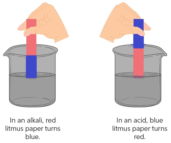 Acids, Bases, Salts and PH Indicators Competitive Chemistry