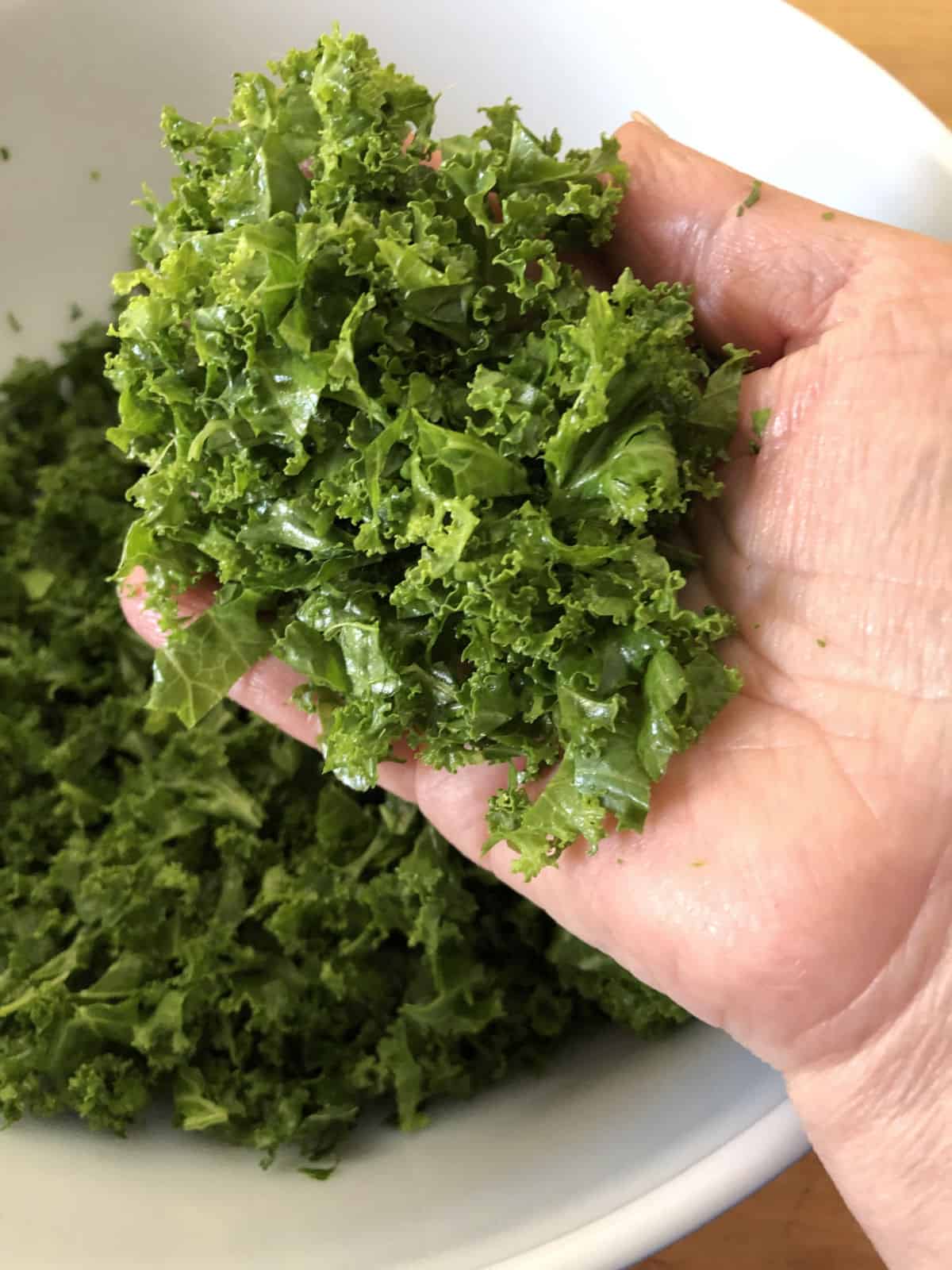 Broccoli Kale Salad with Cranberries Ovenspiration