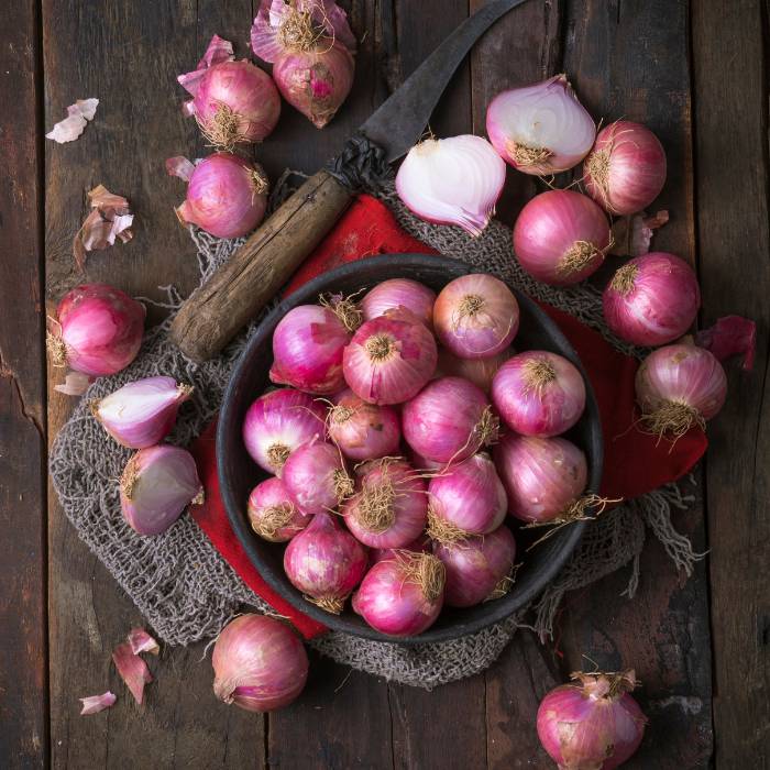 Fresh Onion Wholesale Supplier & Exporter