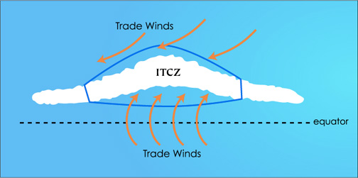 Why it rains in the ITCZ | Where the Rare Wood Still Grows