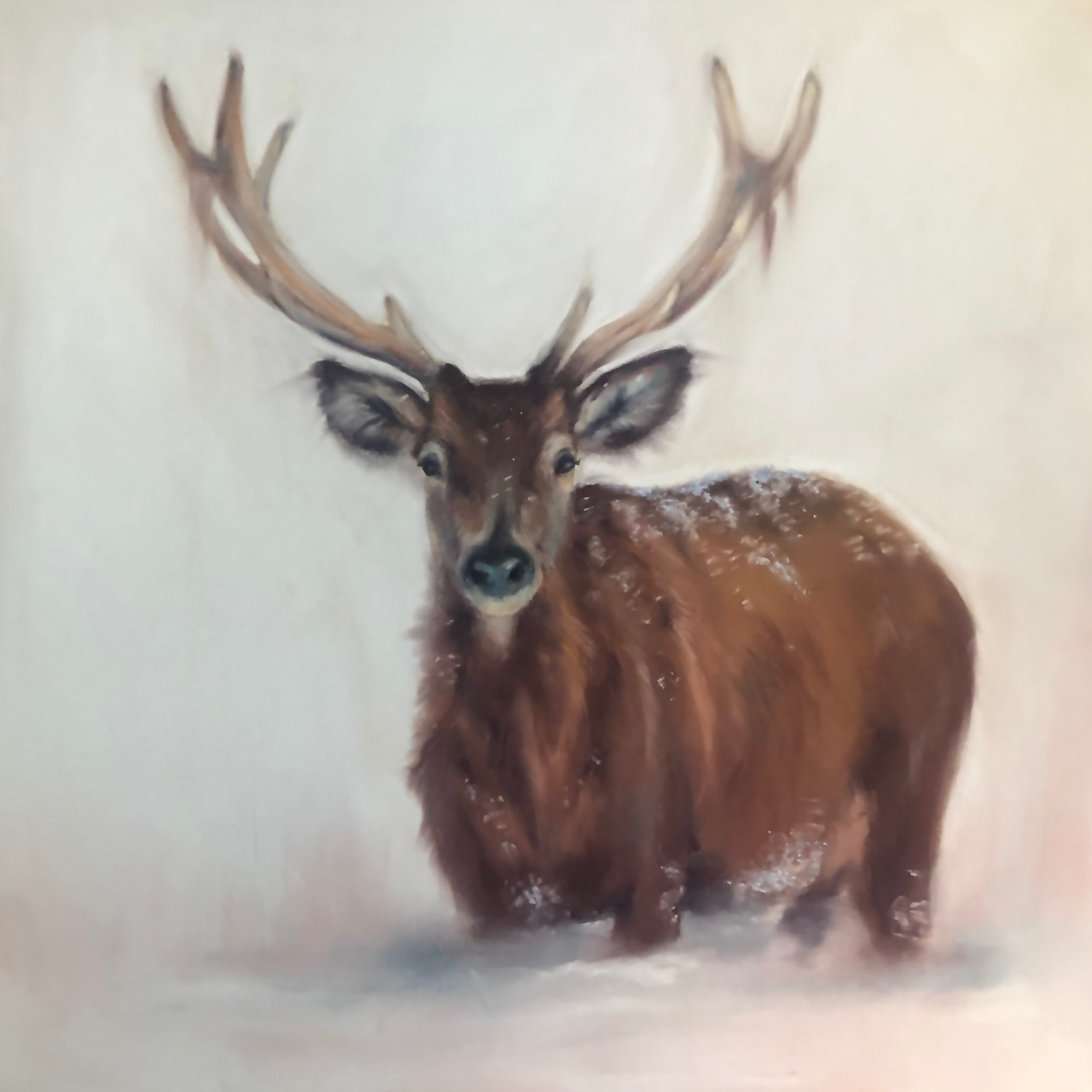 Knee Deep Sullivan Framing and Fine Art Gallery full service custom