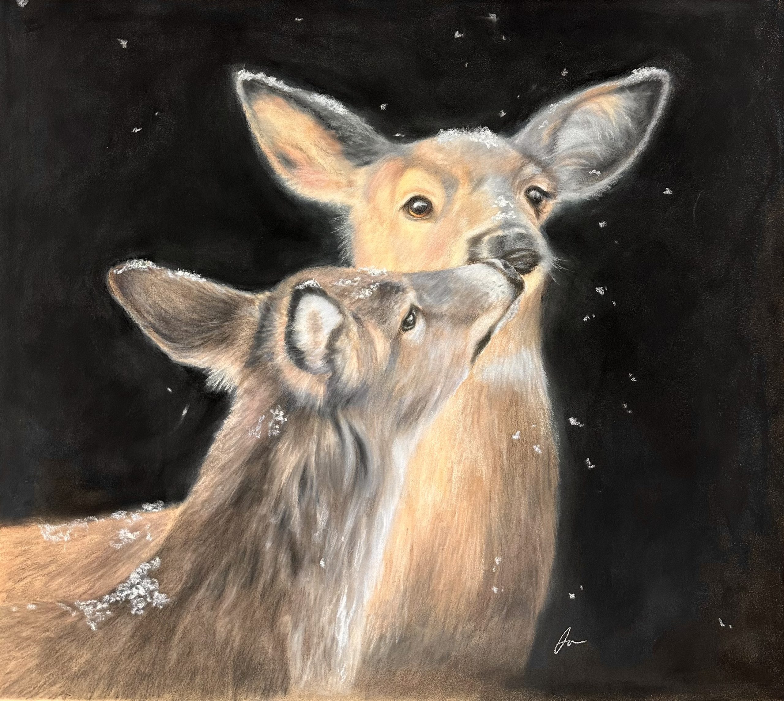 Butterfly Kisses Sullivan Framing and Fine Art Gallery full service