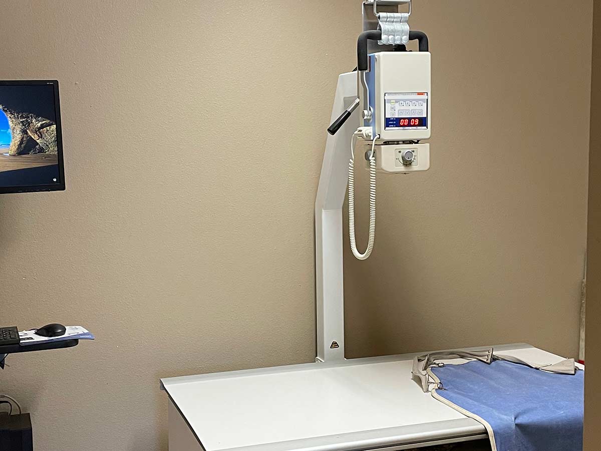 Hospital Tour Sullivan Veterinary Clinic of Winnsboro