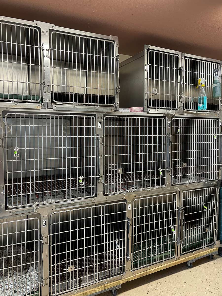 Hospital Tour Sullivan Veterinary Clinic of Winnsboro