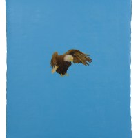 o.T. 76 x 65 cm, oil on canvas  Privat Collection