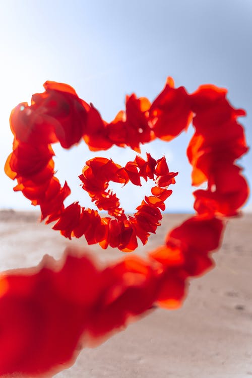 9 Reasons Why Love Is So Powerful and Important to Human Life
