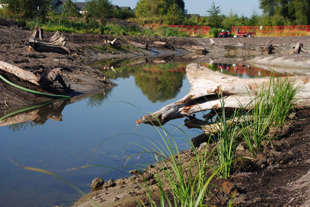Habitat Restoration Vancouver Sumas Remediation