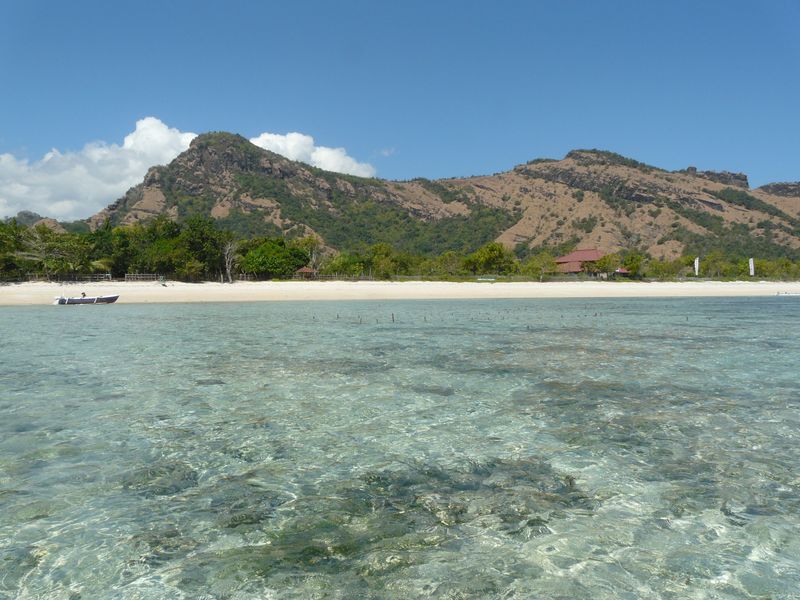 Scar Reef Sumbawa photos