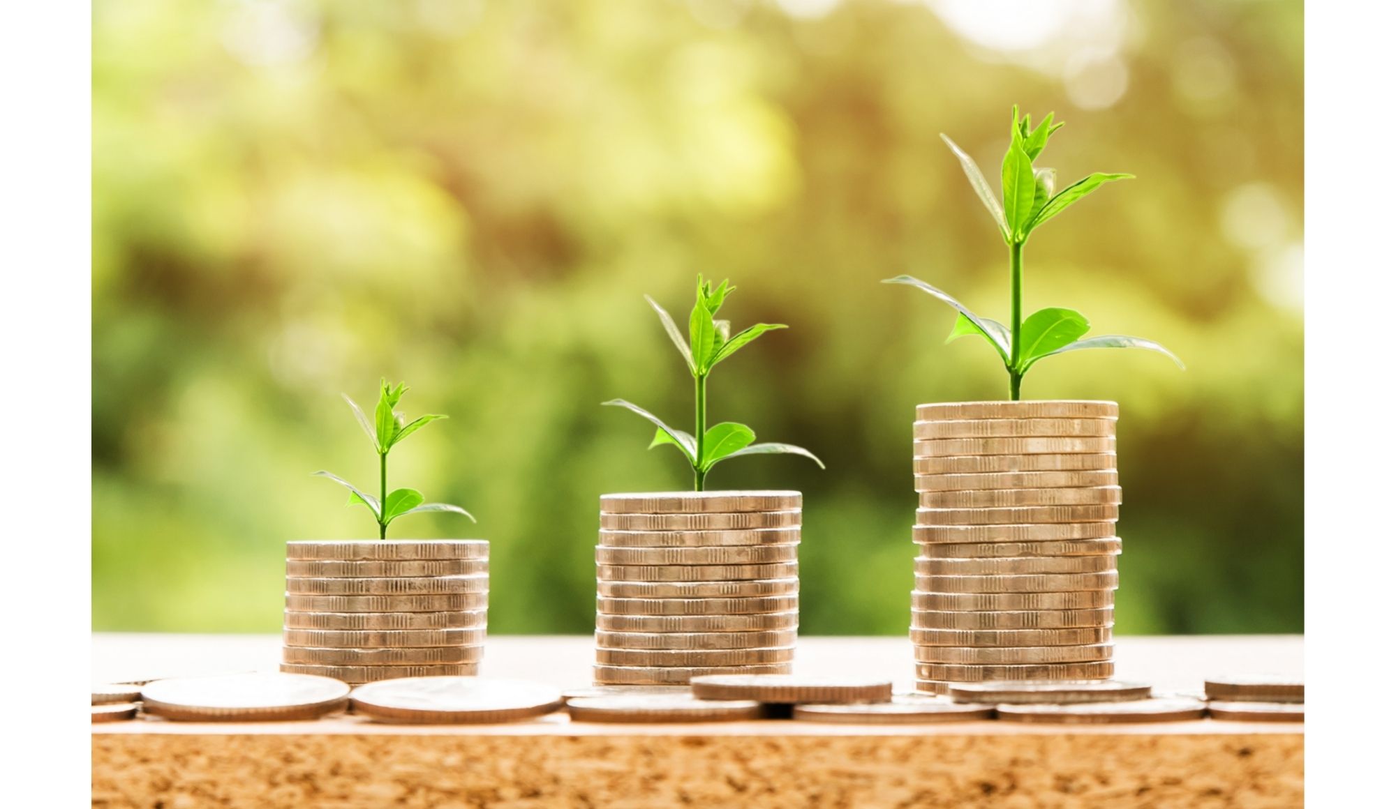 3 High Yield Dividend Stocks Buffett Owns Summa Money