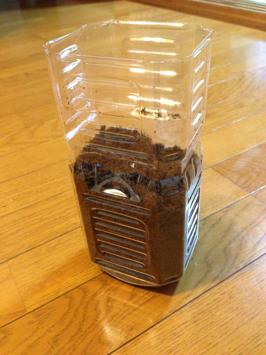 カブトムシの幼虫が生まれたら！ FC2まとめ