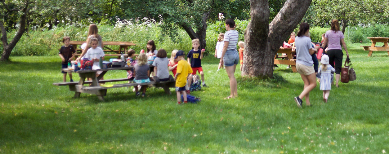 EC Camp (Early Childhood 4yearolds) • Waynflete Summer Program