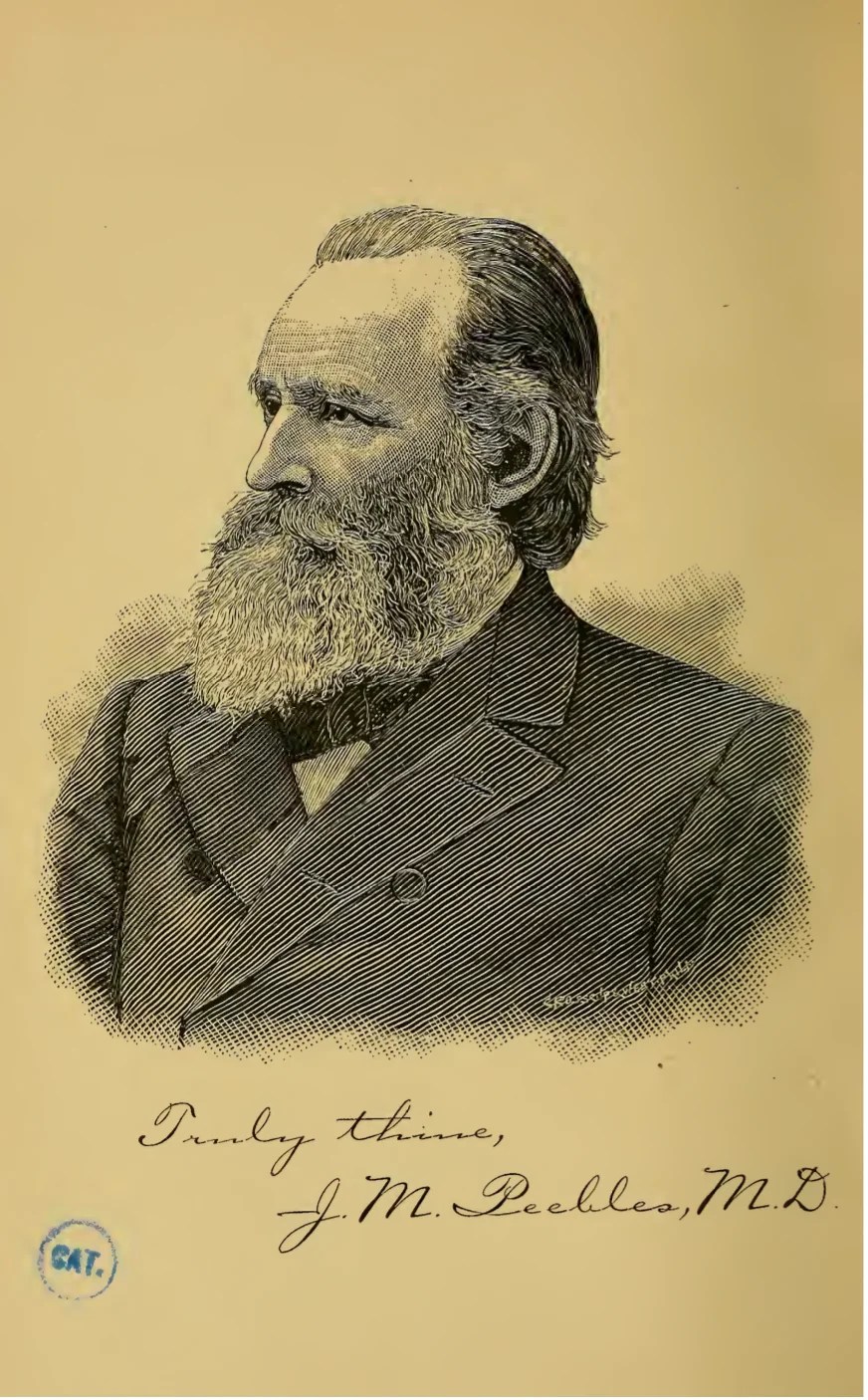 A Glimpse Summer Bacon