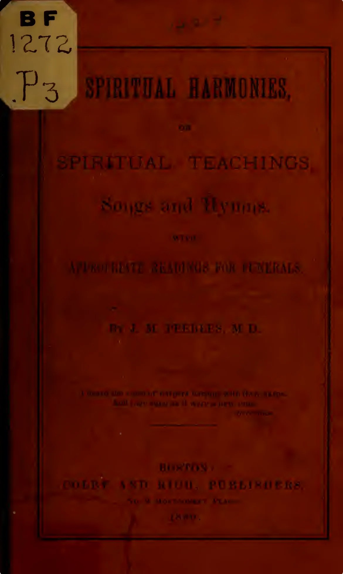 A Glimpse Summer Bacon