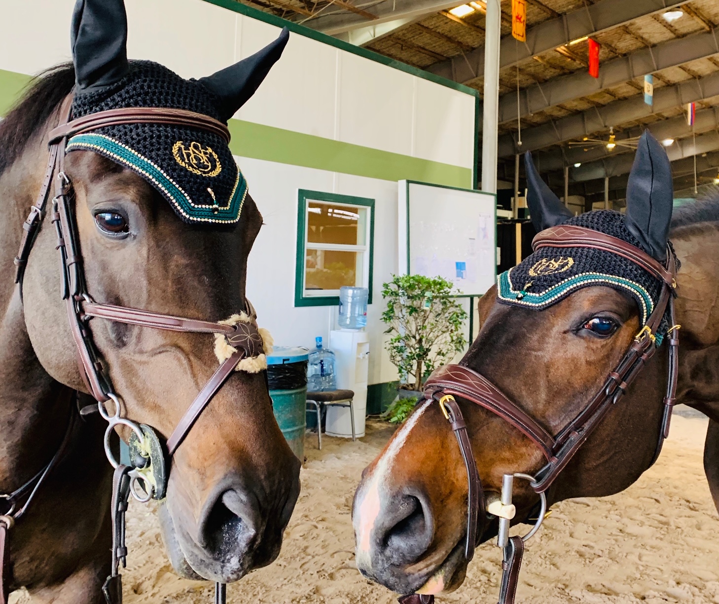 Updates Summer Hill Farms Hunter & Jumper Training and Horse Barn