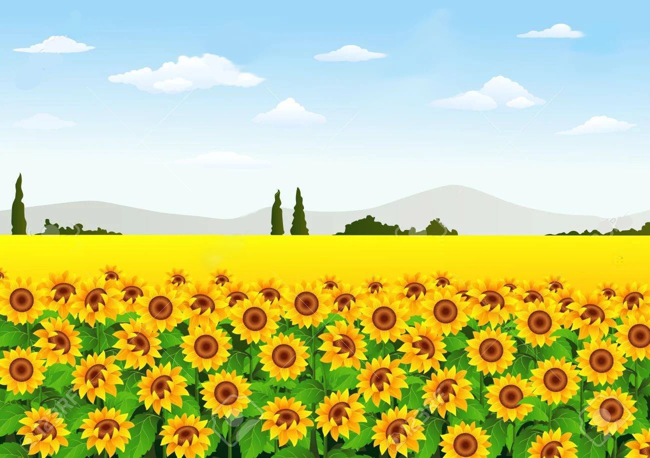 Kansas Summer Camps for Kids Summer Kids Guide