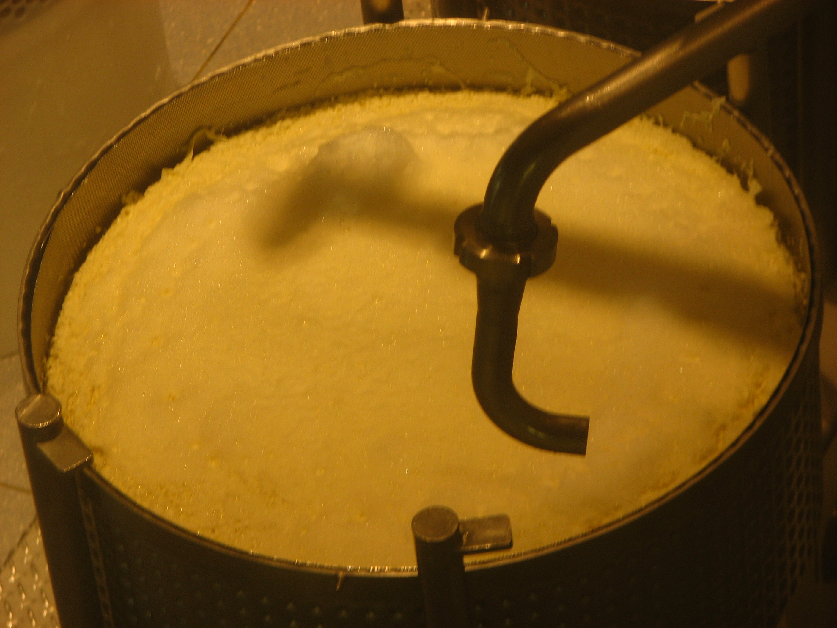 Le Gruyère Cheese Factory Summer's Adventures