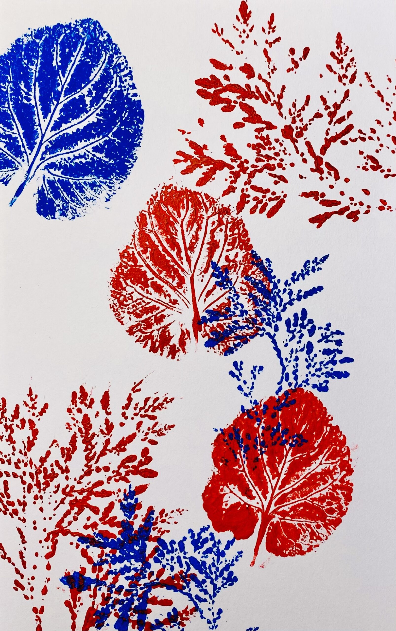 Natural Printmaking with Emily BrascoupéHoefler, Algonquin artist