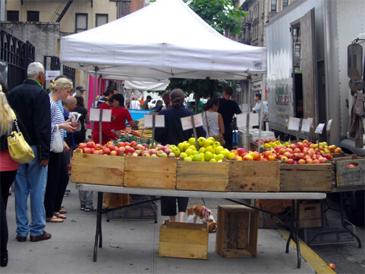 Farmers Market Update St. Stephen's New York Summer Tomato