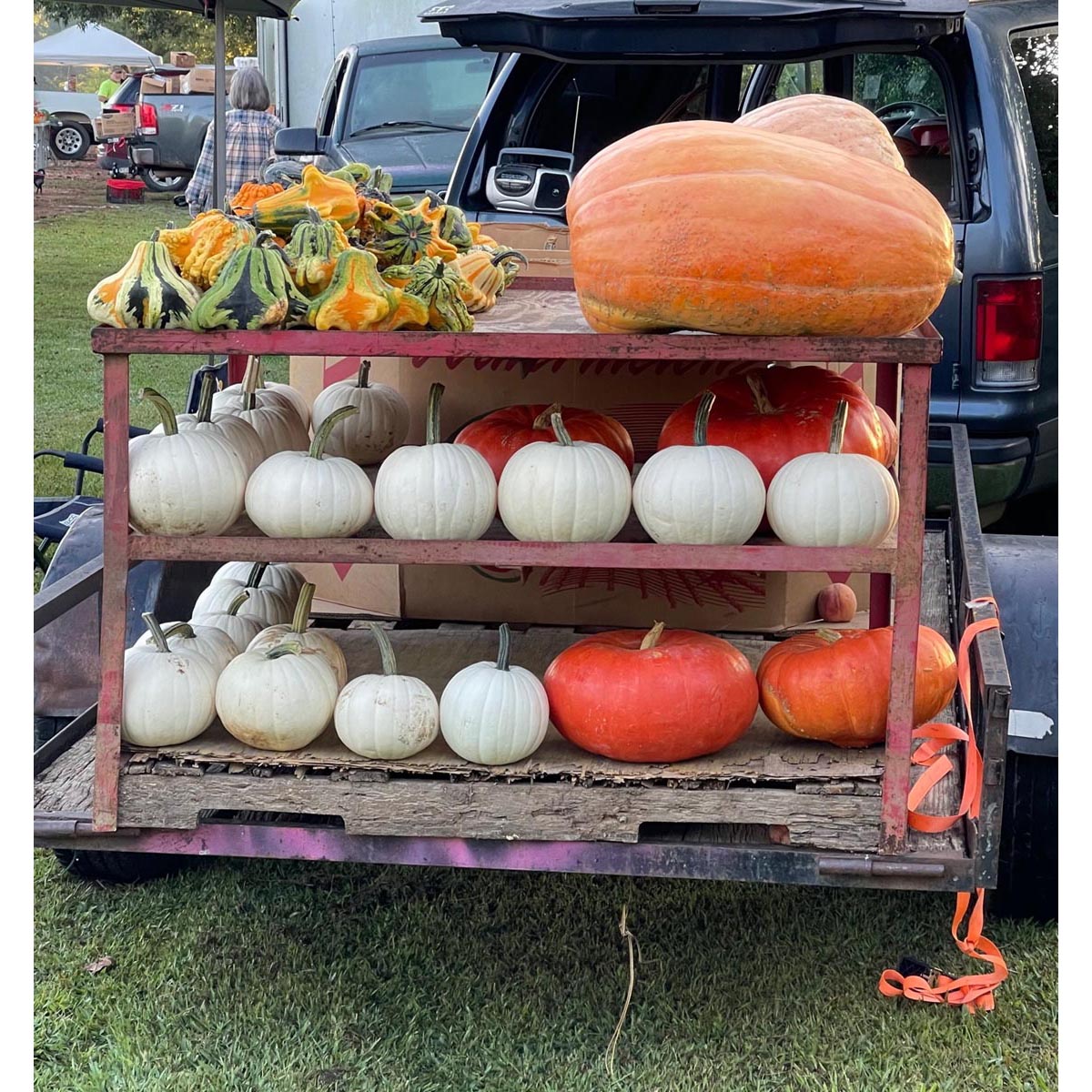 Summerville Trade Day More Photos