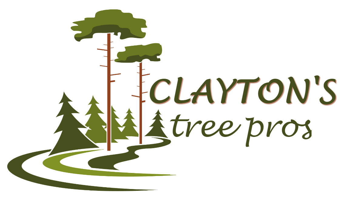 Home Clayton's Tree Pros Summerville Tree Service
