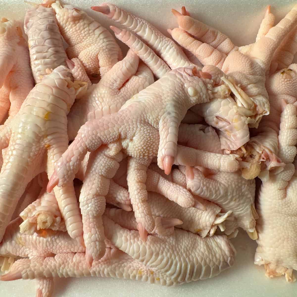 Chicken Feet Soup Recipe (Slow Cooker) Summer Yule Nutrition