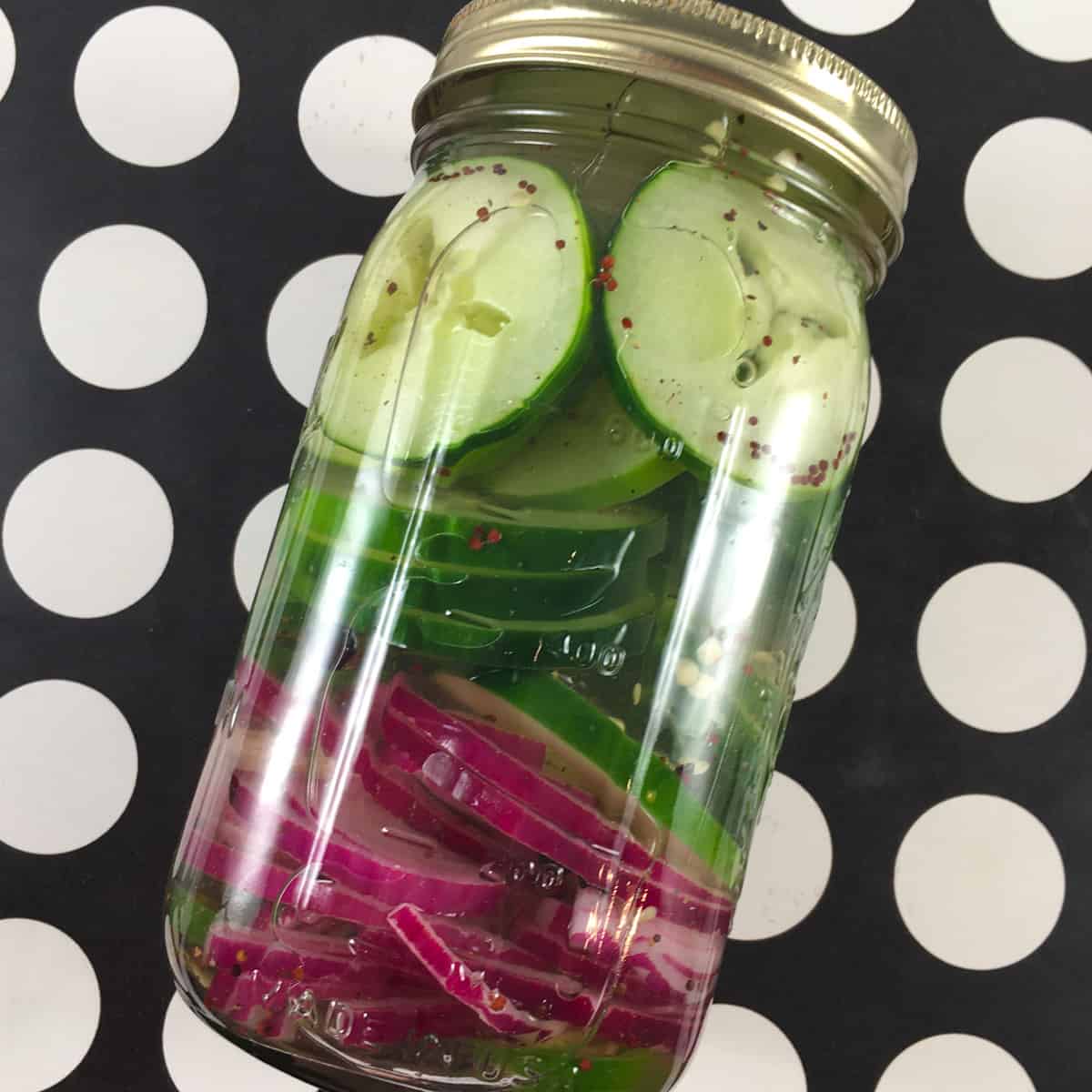 Apple Cider Vinegar And Pickles For Weight Loss Recipe Deporecipe.co