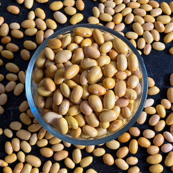 Peruvian Beans Recipe (AKA Canary, Peru, or Peruano Beans)