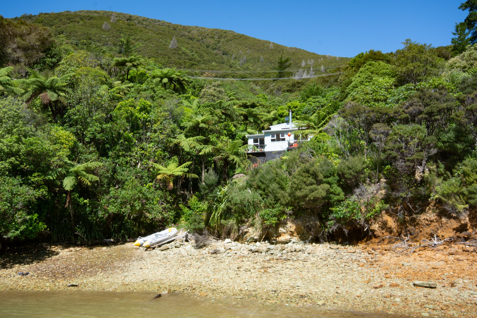 Family Affordable Holiday Bach