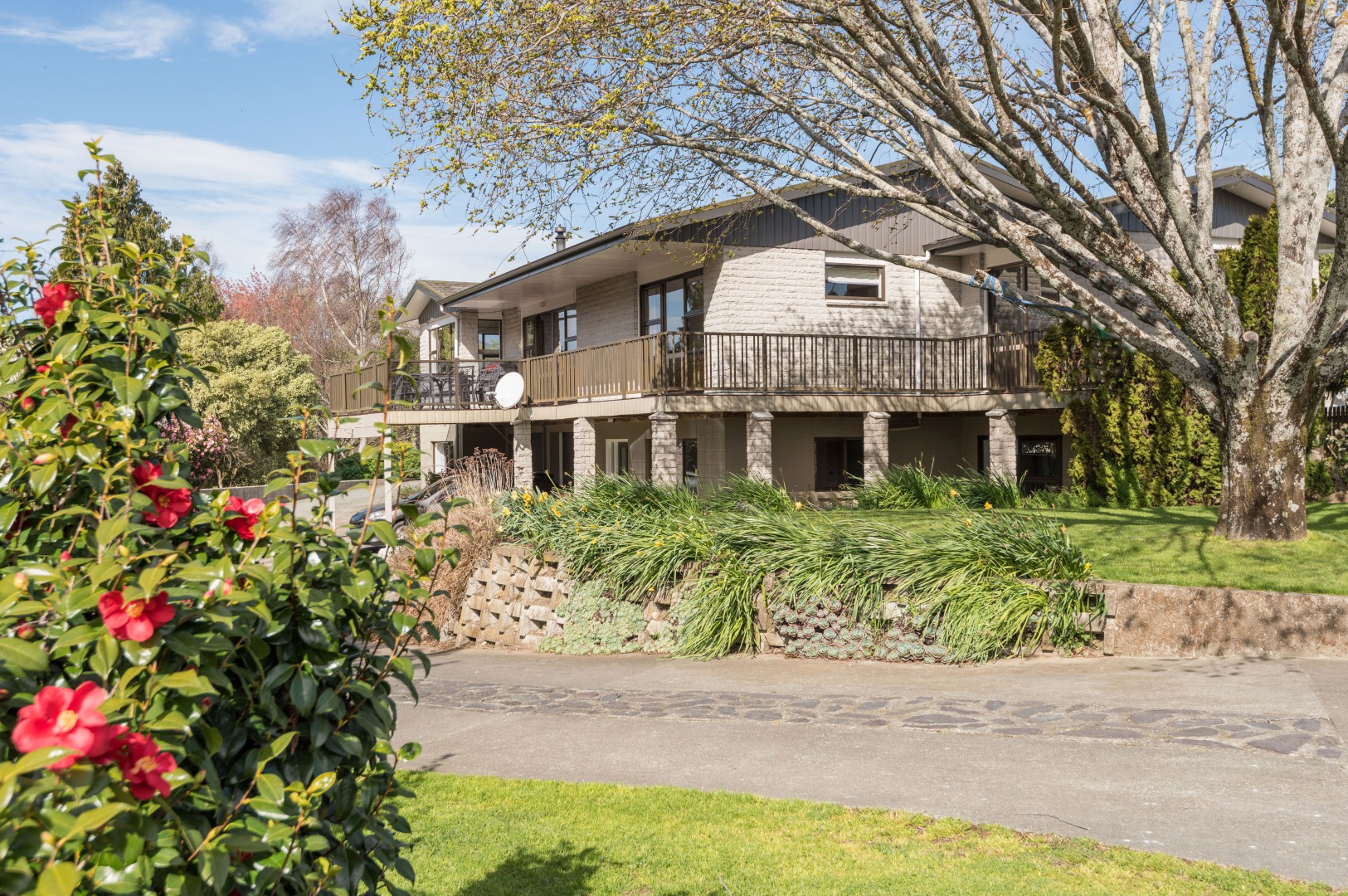 BIG BRIGHTWATER BEAUTY!