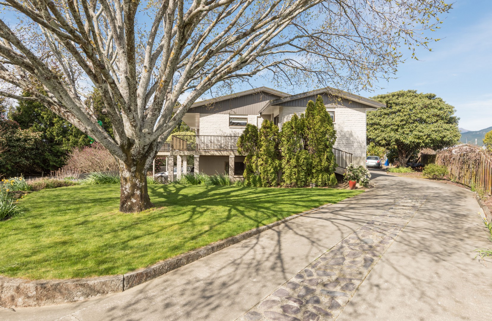 BIG BRIGHTWATER BEAUTY!