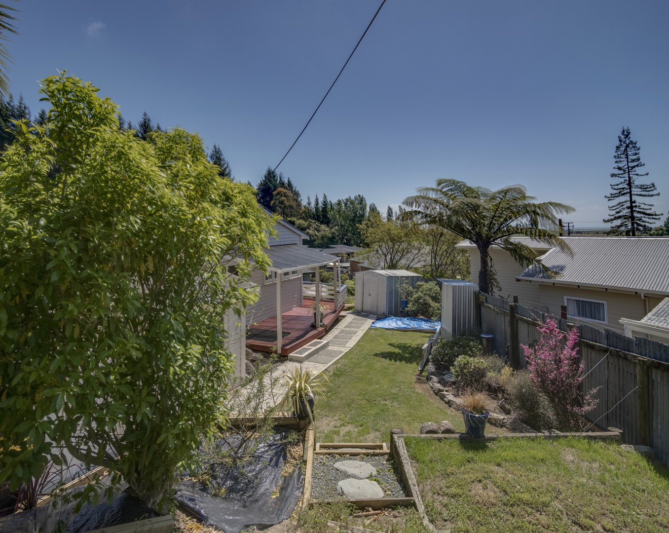 Little Todd Treasure