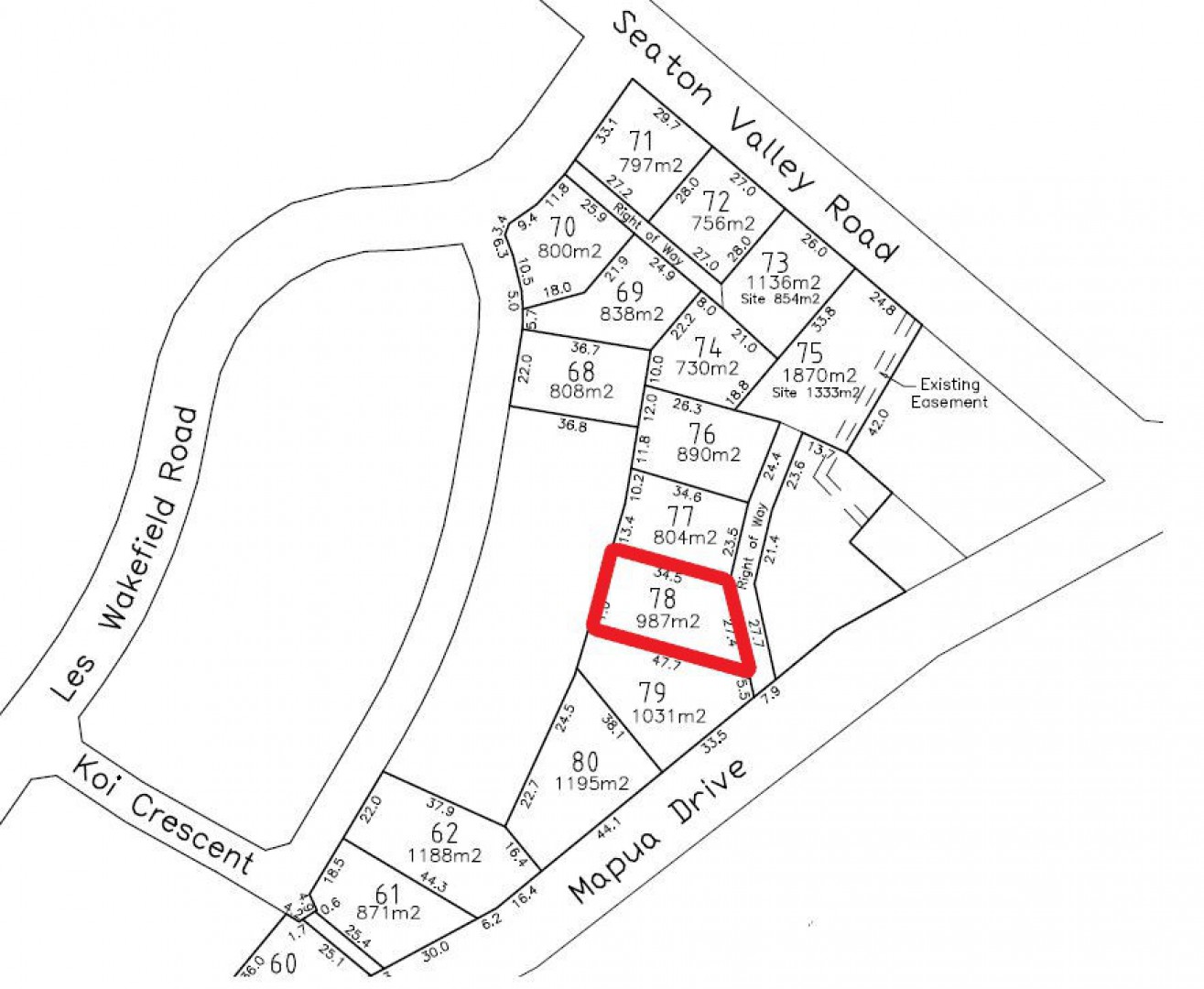 Large Piece of Mapua Magic!